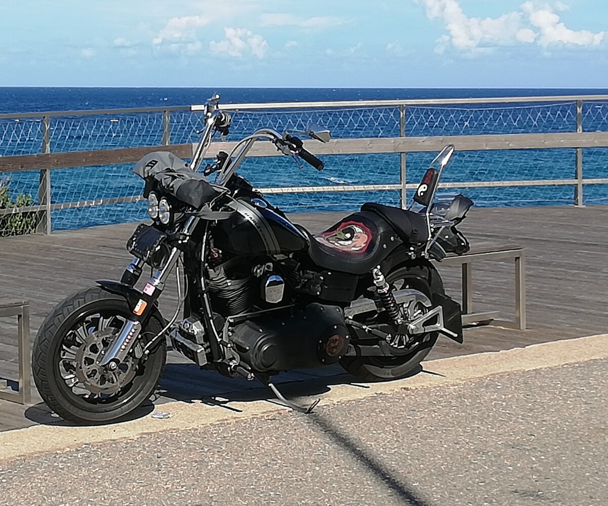 Harley-Davidson FXDF Fat Bob